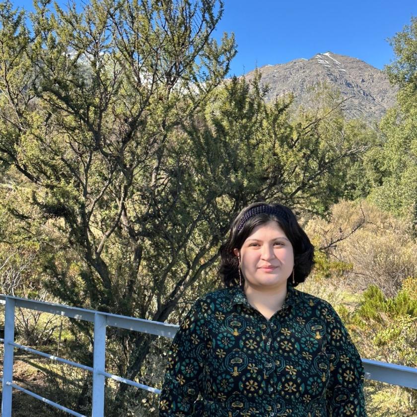 A person standing in front of a railing with trees and mountains in the background